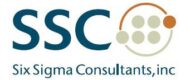 Six Sigma Consultants